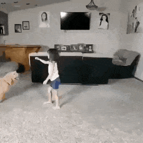 gifs_02.gif
