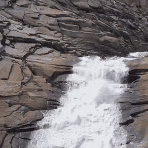 gifs_02.gif