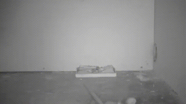 gifs_02.gif