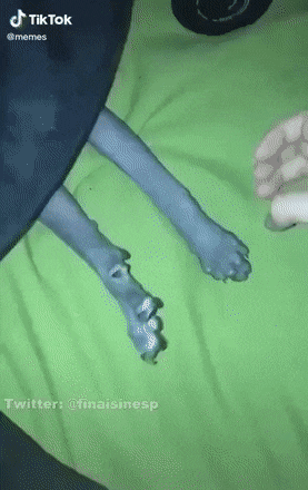 gifs_03.gif