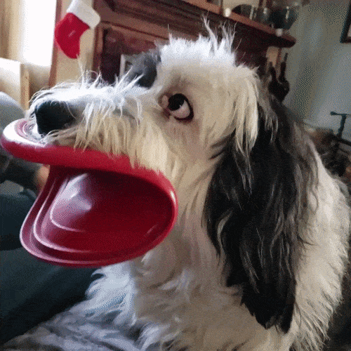 gifs_03.gif