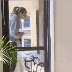 gifs_03.gif