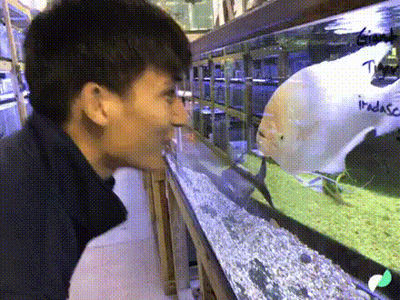 gifs_03.gif