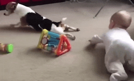 gifs_03.gif