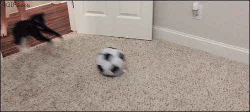 gifs_03.gif