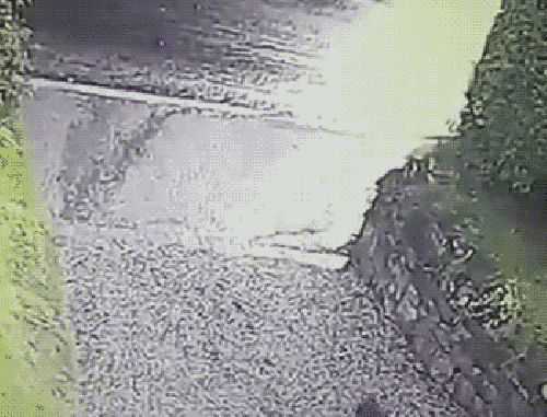 gifs_03.gif