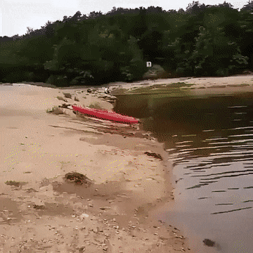 gifs_03.gif