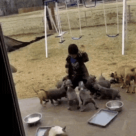 gifs_03.gif