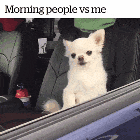 gifs_04.gif
