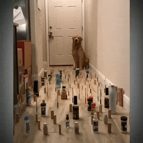 gifs_04.gif