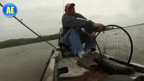 gifs_04.gif