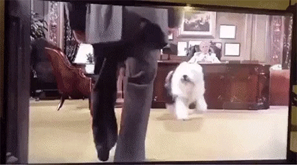 gifs_04.gif