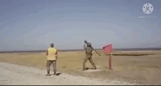 gifs_04.gif