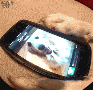 gifs_04.gif
