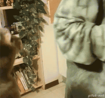 gifs_04.gif