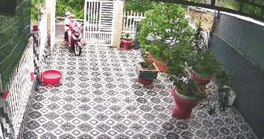 gifs_04.gif