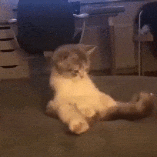 gifs_04.gif
