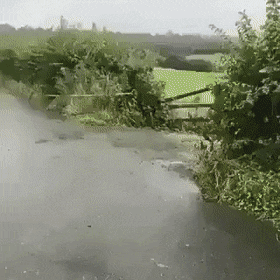 gifs_04.gif