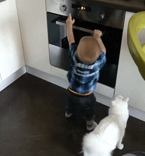 gifs_04.gif