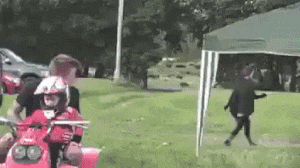 gifs_04.gif