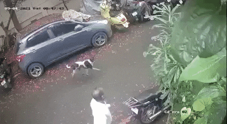 gifs_04.gif