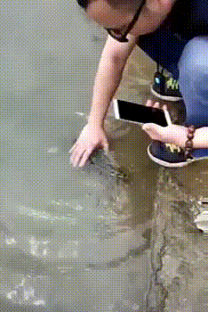 gifs_05.gif