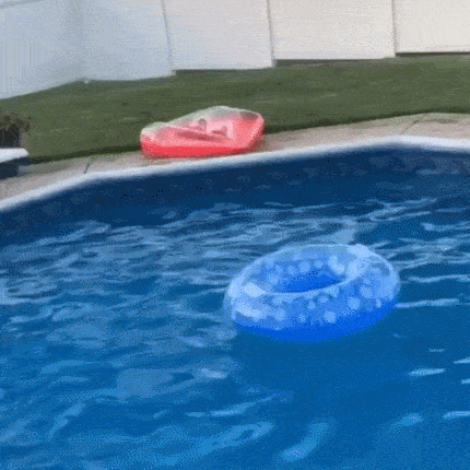 gifs_05.gif