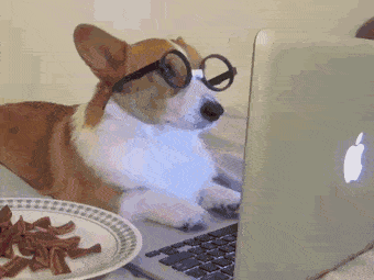 gifs_05.gif