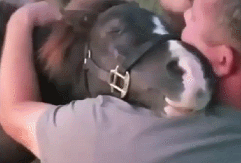 gifs_05.gif