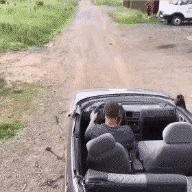 gifs_05.gif