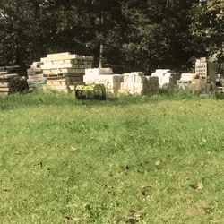 gifs_05.gif