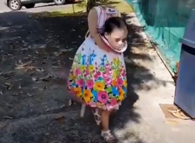 gifs_06.gif