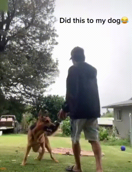 gifs_06.gif