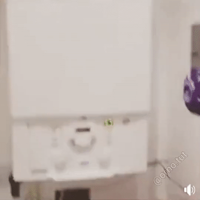 gifs_06.gif