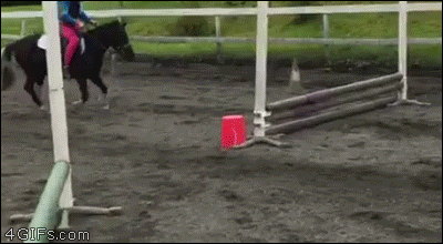gifs_06.gif