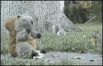 gifs_06.gif