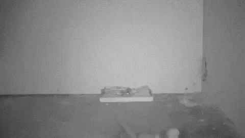 gifs_06.gif