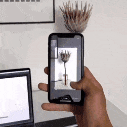 gifs_06.gif