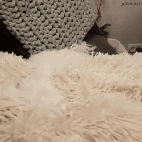 gifs_06.gif