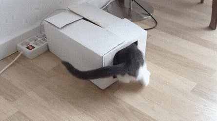 gifs_06.gif