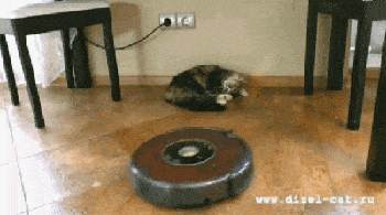 gifs_06.gif