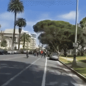 gifs_06.gif