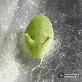gifs_06.gif
