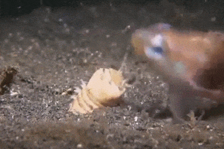 gifs_06.gif