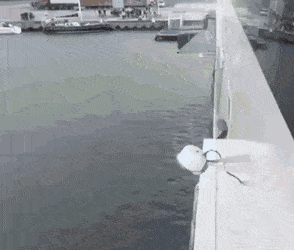 GIFS_07.gif