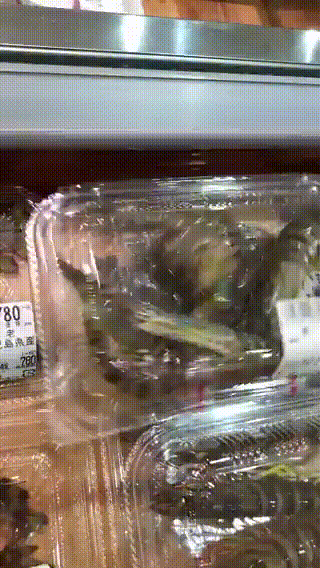 GIFS_07.gif