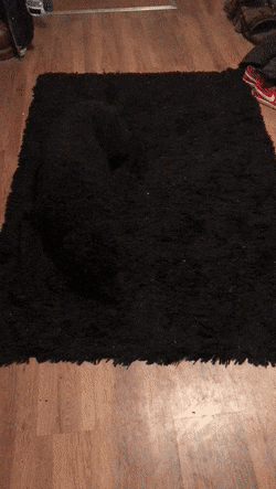gifs_07.gif