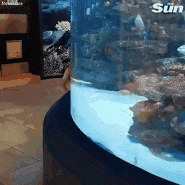 gifs_07.gif
