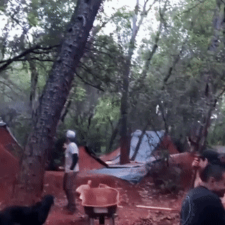 gifs_07.gif