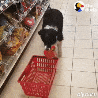 gifs_07.gif